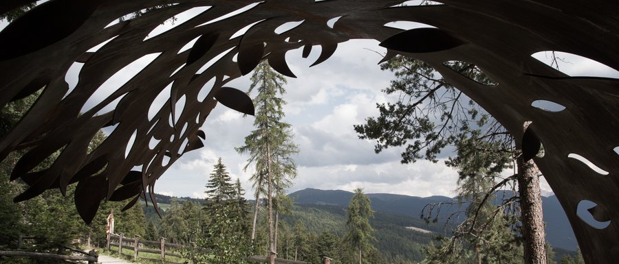 The Gitschberg webcams The picture shows a view through a metallic sculpture with organic shapes. In the background, there are trees, a path with a wooden fence, and wooded hills under a cloudy sky.