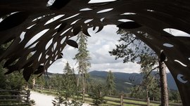 Der Schöpfungsweg in Rodeneck Das Bild zeigt einen Blick durch eine metallische Skulptur mit organischen Formen. Im Hintergrund sind Bäume, ein Weg mit einem Holzzaun und bewaldete Hügel unter einem bewölkten Himmel zu sehen.