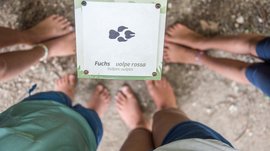 De Elfenweg bij Vintl De afbeelding toont de blote voeten van meerdere kinderen die rondom een bord staan. Op het bord staat een pootafdruk en de tekst "Fuchs – volpe rossa (Vulpes vulpes)", wat wijst op het spoor van een vos.