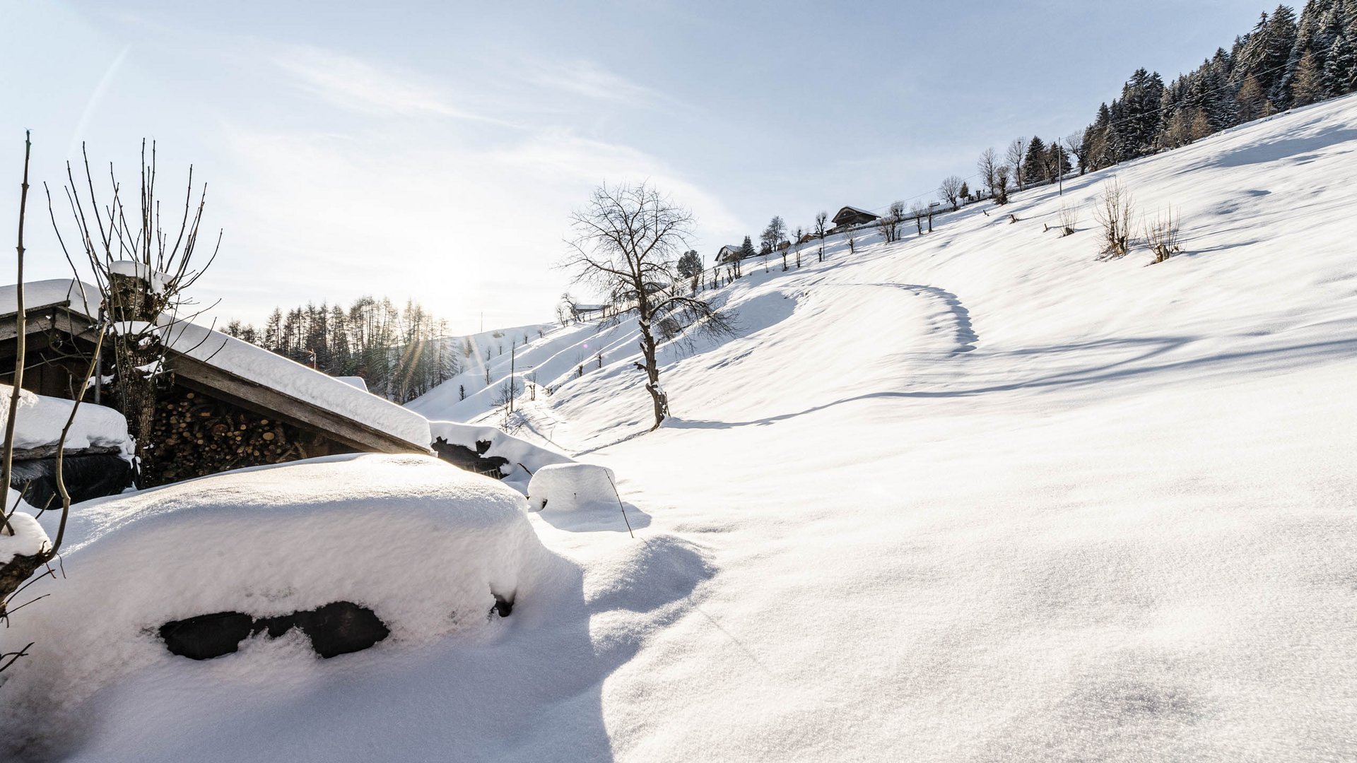 Terenten im Pustertal Verschneite Hänge mit Bäumen und Hütten im Sonnenlicht