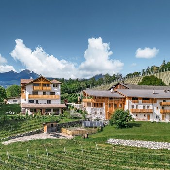Südtiroler Almkost Alpine Gästehäuser zwischen Weinbergen und grünen Wiesen vor einer Bergkulisse