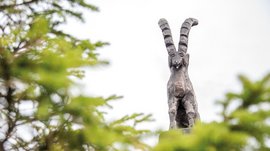 Sluneční park Gitschberg Obrázek ukazuje detailní dřevěnou sochu kamzíka s dlouhými, dozadu zahnutými rohy. V popředí jsou rozmazané zelené větve, zatímco obloha v pozadí je šedá.