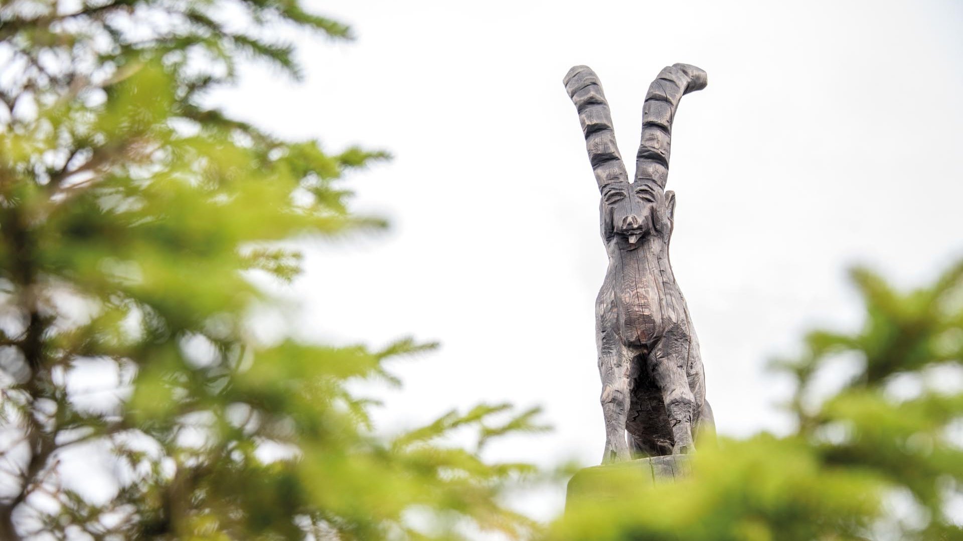 Sluneční park Gitschberg Obrázek ukazuje detailní dřevěnou sochu kamzíka s dlouhými, dozadu zahnutými rohy. V popředí jsou rozmazané zelené větve, zatímco obloha v pozadí je šedá.