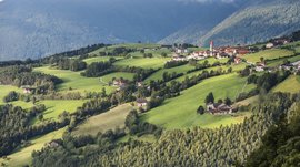 The Alpine hamlet of Spinges The picture shows a picturesque landscape with gentle, green hills scattered with small houses and farms. In the background, a wooded mountainside rises, while a small church with a red roof can be seen in the village.