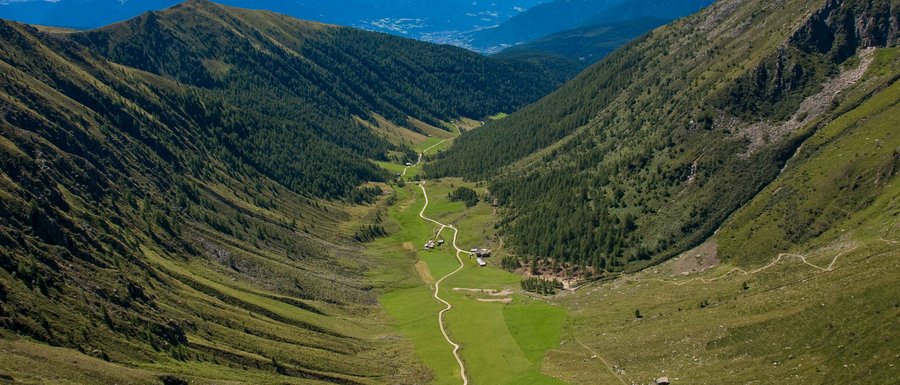 The Gitschberg webcams The picture shows a wide valley stretching between two tall, forested mountain slopes. A narrow, winding path leads through the green valley, past some scattered huts. In the background, the majestic peaks of the Alps can be seen dominating the horizon.