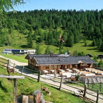 Südtiroler Almkost Das Bild zeigt eine idyllische Almhütte aus Holz inmitten einer grünen, hügeligen Landschaft mit einer Terrasse voller Tische, umgeben von einem Holzzaun, an dem einige Ziegen stehen, unter einem klaren blauen Himmel.