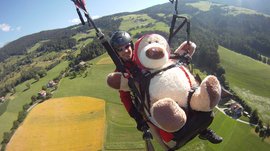 Paragliding v Jižním Tyrolsku Obrázek ukazuje osobu paraglidingující a nesoucí velkého plyšového medvěda v postroji před sebou. Pod nimi se rozprostírají zelená pole a lesy v kopcovité krajině.
