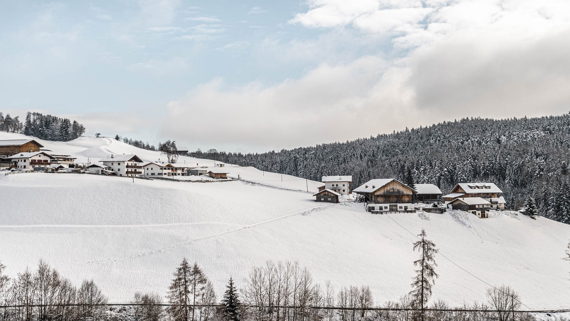 Terenten im Pustertal Schneebedecktes Dorf an einem Hang mit Wald im Hintergrund