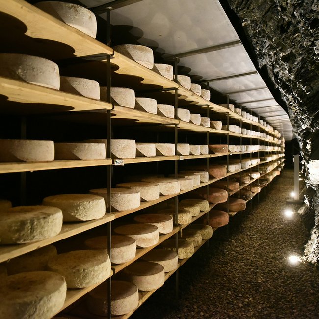 Brixen Südtirol Card: Gästekarte mit kostenlosen Bergbahnen, Mobilität und freien Eintritten Das Bild zeigt einen großen Lagerraum, in dem Käselaibe auf hölzernen Regalen gestapelt sind. Die Regale verlaufen entlang einer Felswand und sind in langen Reihen aufgestellt, während das Licht den Käse in einer kühlen, dunklen Umgebung hervorhebt.