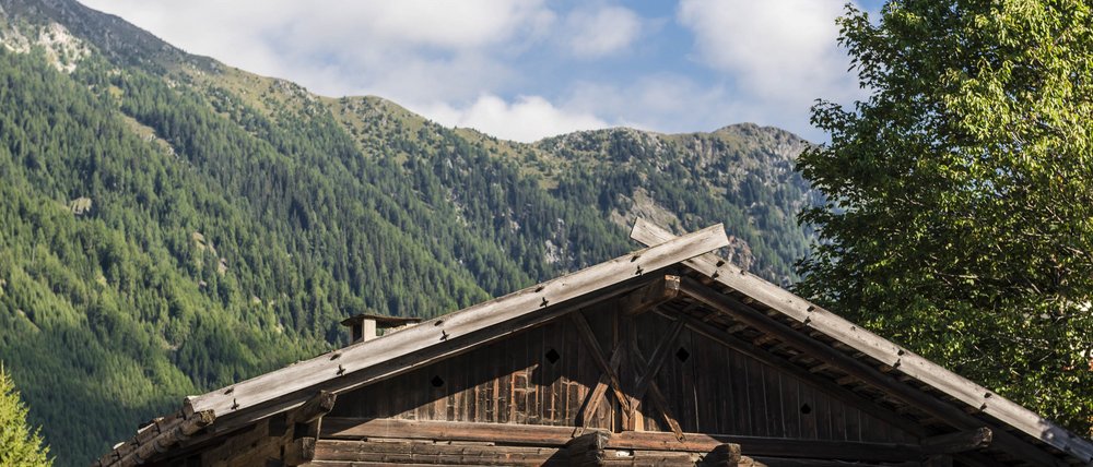The Gitschberg webcams The picture shows a traditional wooden cabin with colorful flowers blooming in flower boxes under the windows. In the background, green, forested mountains rise under a blue sky with some clouds.