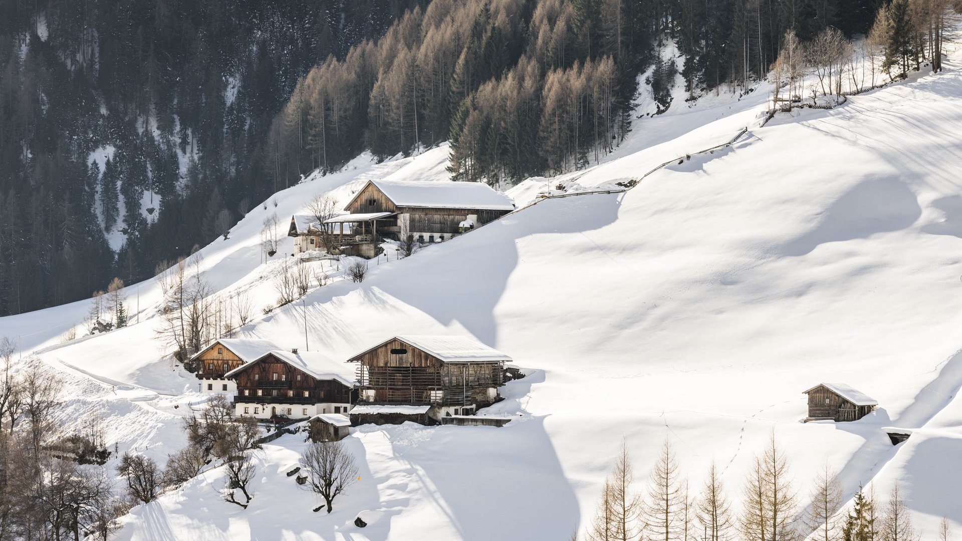 Pfunders: urig und idyllisch Das Bild zeigt eine winterliche Berglandschaft mit schneebedeckten Hügeln und mehreren Berghütten, die an den Hängen verteilt sind. Im Hintergrund ist ein dichter Wald zu sehen, und das Licht der tief stehenden Sonne wirft lange Schatten auf den Schnee.