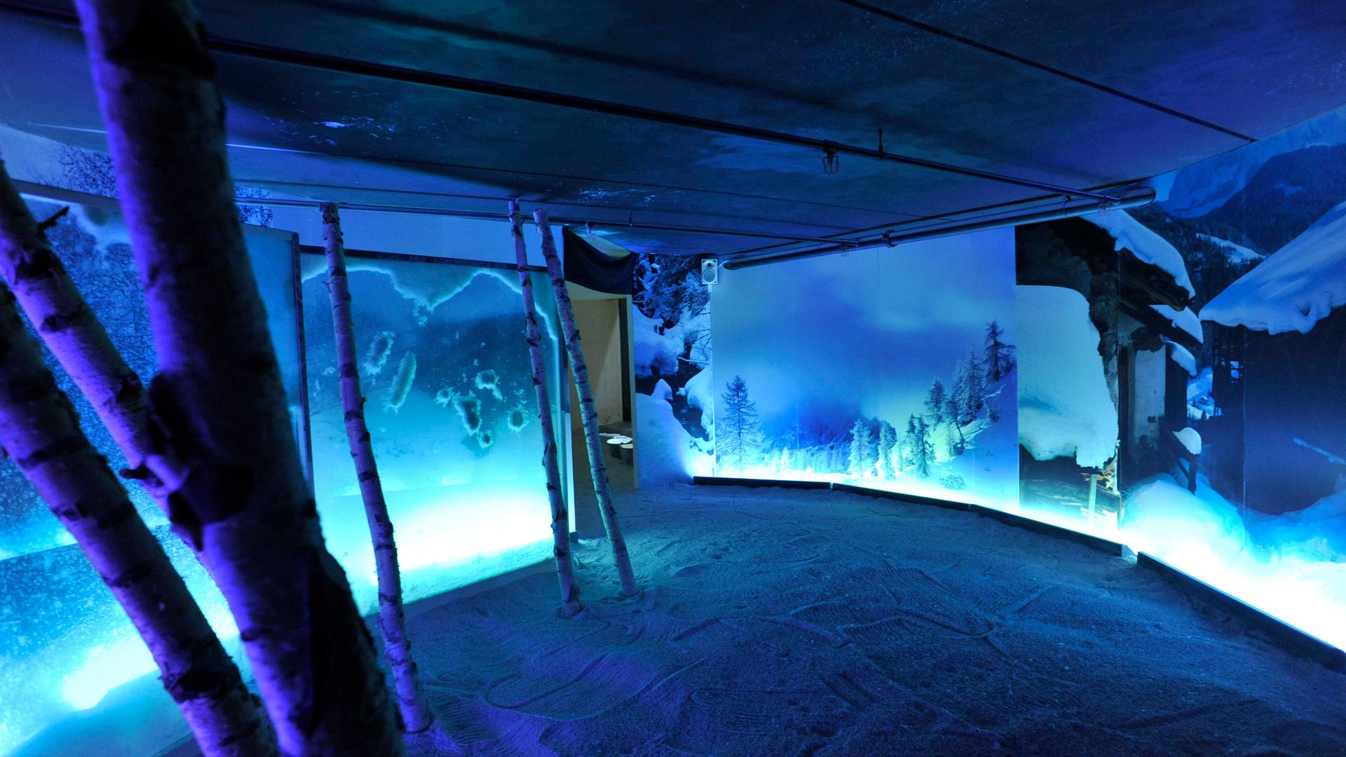 Loden Erlebniswelt in Vintl/Pustertal De afbeelding toont een kamer die verlicht wordt door blauw licht en een winters landschap uitbeeldt. Op de voorgrond staan berkenstammen, terwijl de muren zijn versierd met afbeeldingen van besneeuwde bomen en bergen.