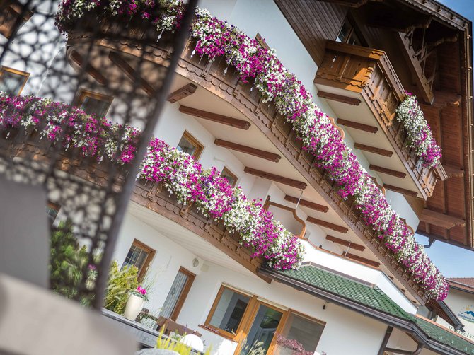 Willkommen in der Ferienregion Gitschberg Jochtal! Balkone eines Hauses mit weißen und pinken Blumen in Blumenkästen