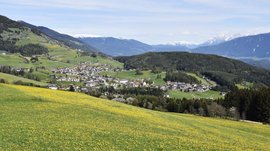 Terenten im Pustertal Blumenwiese mit Bergdorf und schneebedeckten Bergen im Hintergrund