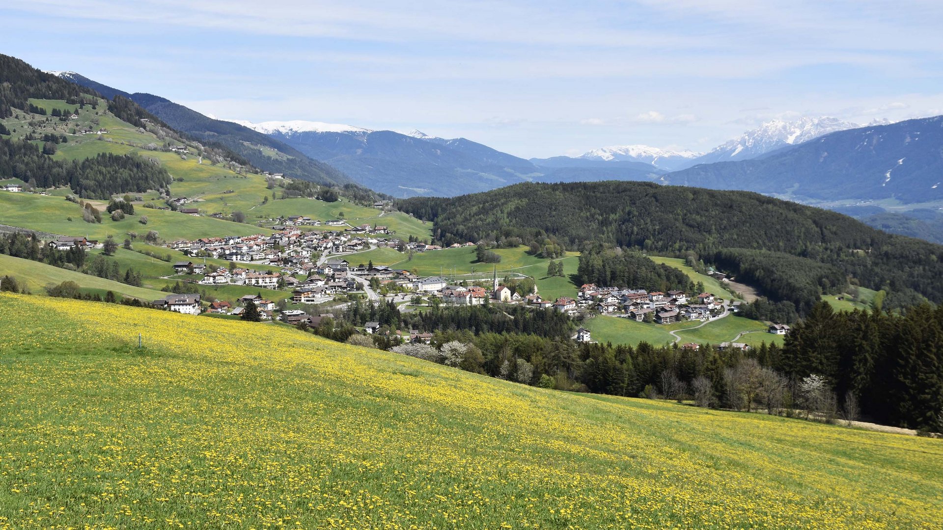 Terenten im Pustertal Blumenwiese mit Bergdorf und schneebedeckten Bergen im Hintergrund