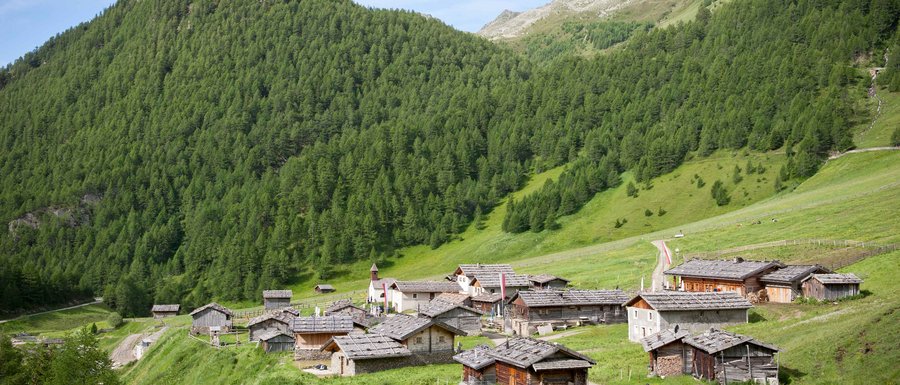 The Gitschberg webcams The picture shows a picturesque alpine hut settlement amidst green mountain slopes. The huts have traditional wooden roofs, and in the background, there are steep, densely forested mountain slopes and a small church tower visible.