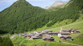 Fane Alm – South Tyrol’s most idyllic Alpine village The picture shows a picturesque alpine hut settlement amidst green mountain slopes. The huts have traditional wooden roofs, and in the background, there are steep, densely forested mountain slopes and a small church tower visible.