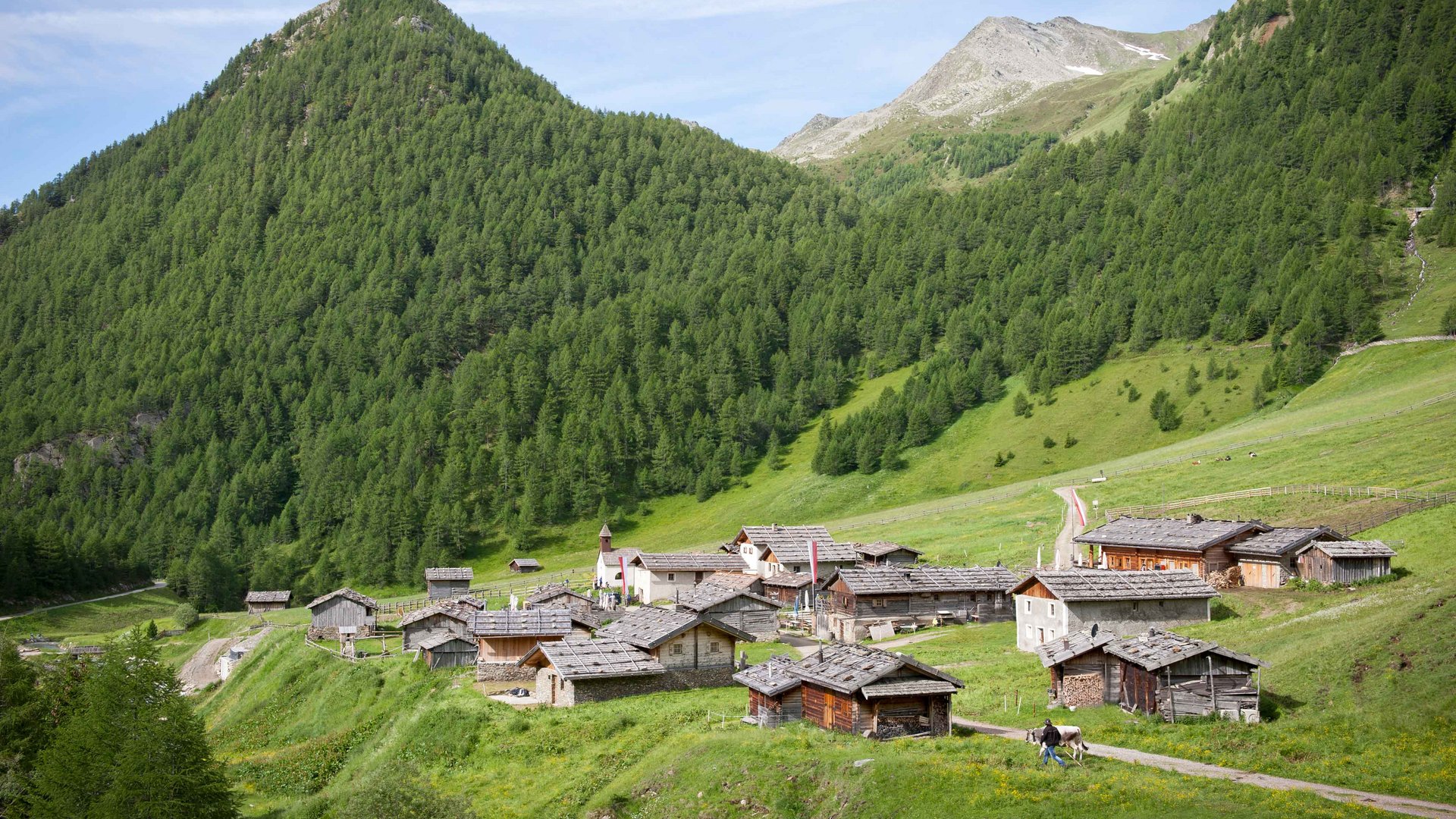Fane Alm – South Tyrol’s most idyllic Alpine village The picture shows a picturesque alpine hut settlement amidst green mountain slopes. The huts have traditional wooden roofs, and in the background, there are steep, densely forested mountain slopes and a small church tower visible.