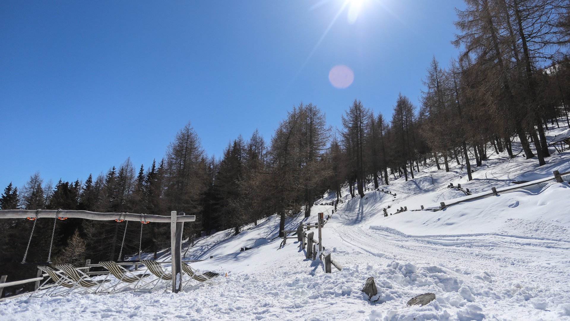 Hiking in Spinges, South Tyrol – no map needed! Snow-covered landscape with trees and bright sun in a clear blue sky