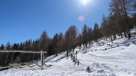 Hiking in Spinges, South Tyrol – no map needed! Snow-covered landscape with trees and bright sun in a clear blue sky