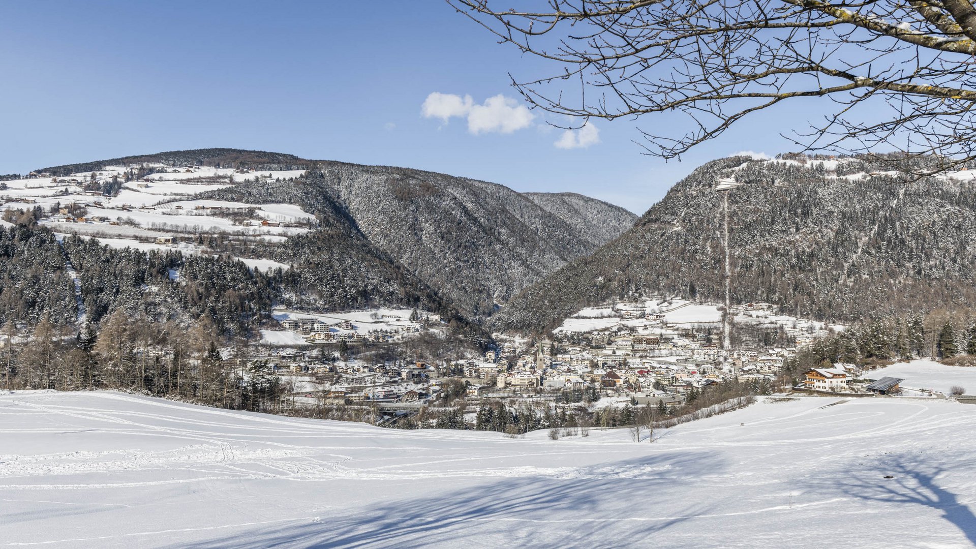 Mühlbach im Pustertal Das Bild zeigt eine winterliche Landschaft mit einem verschneiten Tal, in dem eine kleine Stadt liegt. Umgeben von schneebedeckten Hügeln und Bergen, erstrecken sich im Vordergrund weiße Felder, während kahle Äste eines Baumes den oberen Rand des Bildes einrahmen.