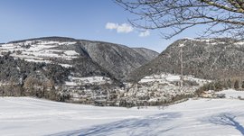 Mühlbach im Pustertal Das Bild zeigt eine winterliche Landschaft mit einem verschneiten Tal, in dem eine kleine Stadt liegt. Umgeben von schneebedeckten Hügeln und Bergen, erstrecken sich im Vordergrund weiße Felder, während kahle Äste eines Baumes den oberen Rand des Bildes einrahmen.