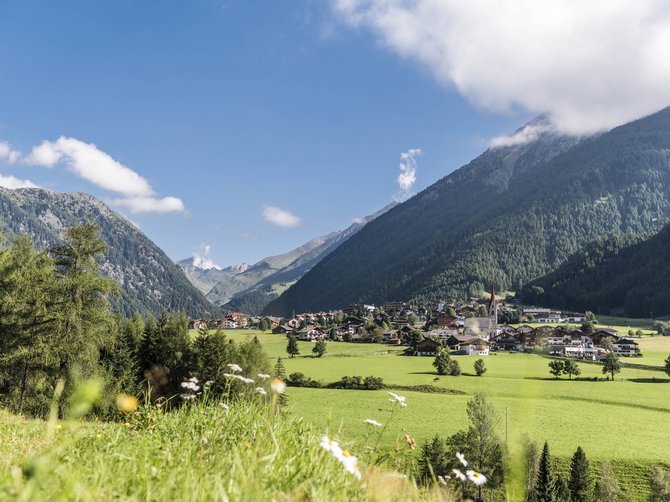 The Alpine hamlet of Spinges The picture shows an idyllic summer landscape with green meadows and a village in the valley, surrounded by high, forested mountains. The sky is blue with some clouds, and in the foreground, white flowers bloom sporadically.