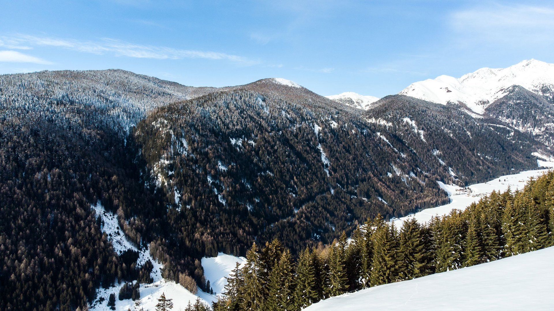 The mountain village of Meransen The picture shows a wintry mountain landscape with dense forests, partly covered with snow. In the background, higher snow-covered peaks can be seen, while in the foreground fir trees line the snow-covered slopes. The sky is clear and blue.