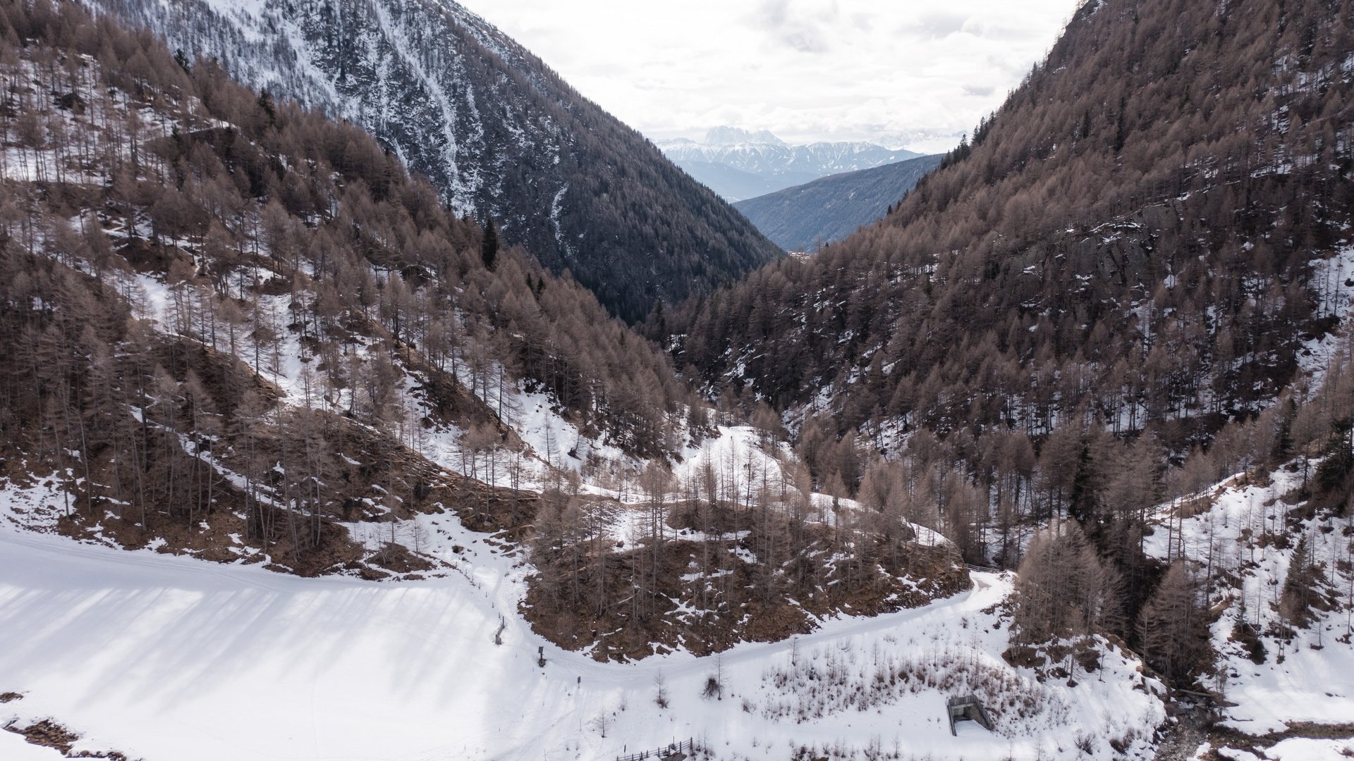 Fane Alm – South Tyrol’s most idyllic Alpine village The picture shows a snowy valley surrounded by forested mountain slopes. The trees are bare, and snow-covered peaks stretch in the background, visible in the distance.