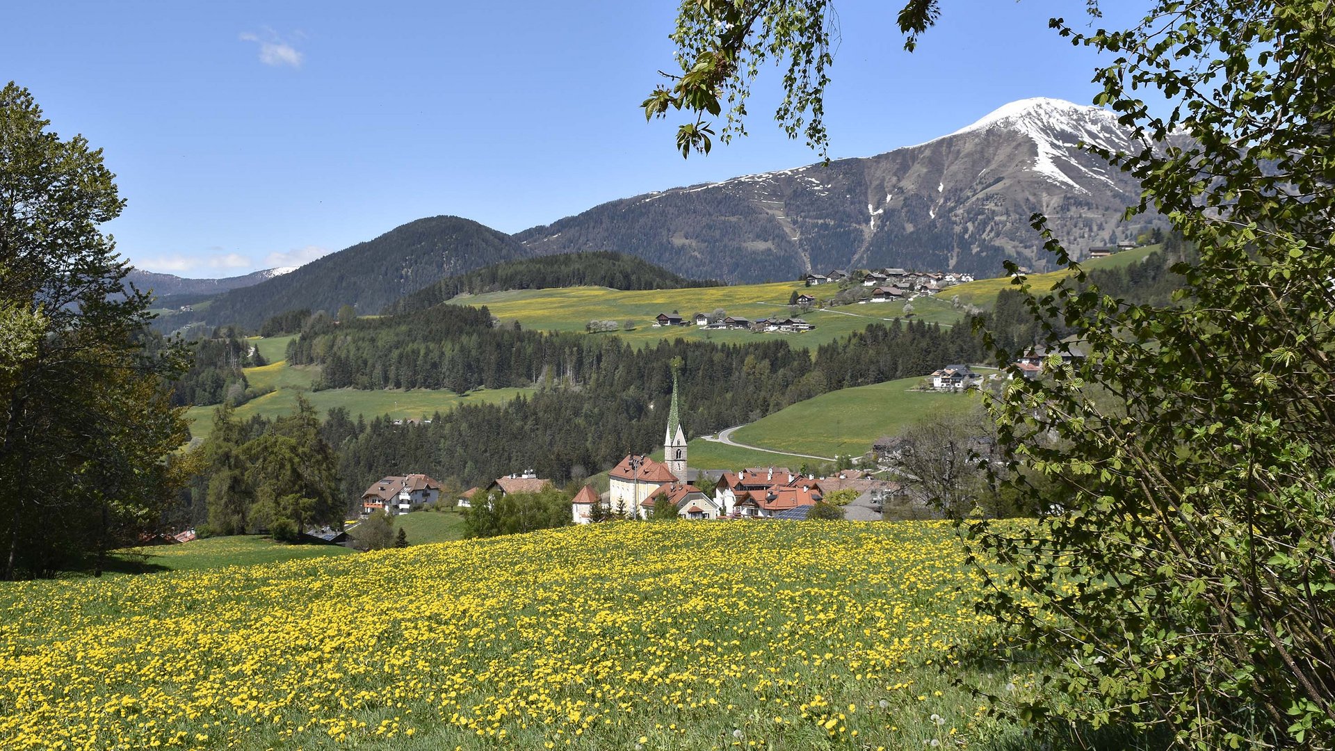 Terenten in het Pustertal Bloemenveld met dorp en bergen op de achtergrond onder blauwe lucht