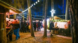Tearna Advent Weihnachtsmarkt im Wald mit Lichterketten und Besuchern am Abend