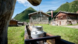Fane Alm – South Tyrol’s most idyllic Alpine village The picture shows a traditional wooden well from which water flows into a trough. In the foreground stands a silver milk can in the water, while in the background several rustic wooden huts can be seen in front of a green mountain landscape.