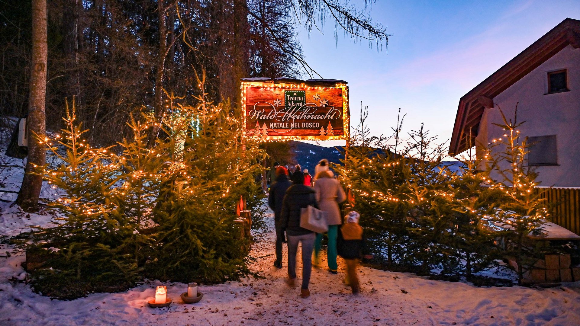 Tearna Advent Menschen wandern durch beleuchteten verschneiten Wald zum Weihnachtsmarkt