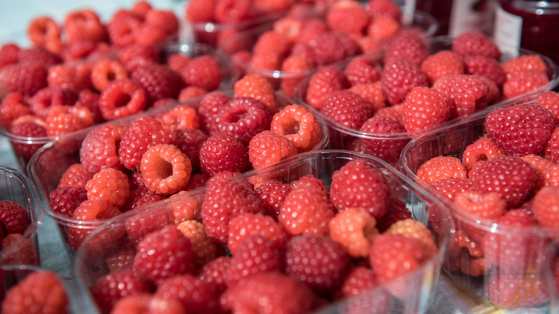 Winkelen in Mühlbach/Italië De afbeelding toont meerdere doorzichtige plastic schaaltjes gevuld met verse, rode frambozen. De frambozen zijn dichtbij en duidelijk op de foto te zien, wat hun heldere kleur en sappige textuur benadrukt.