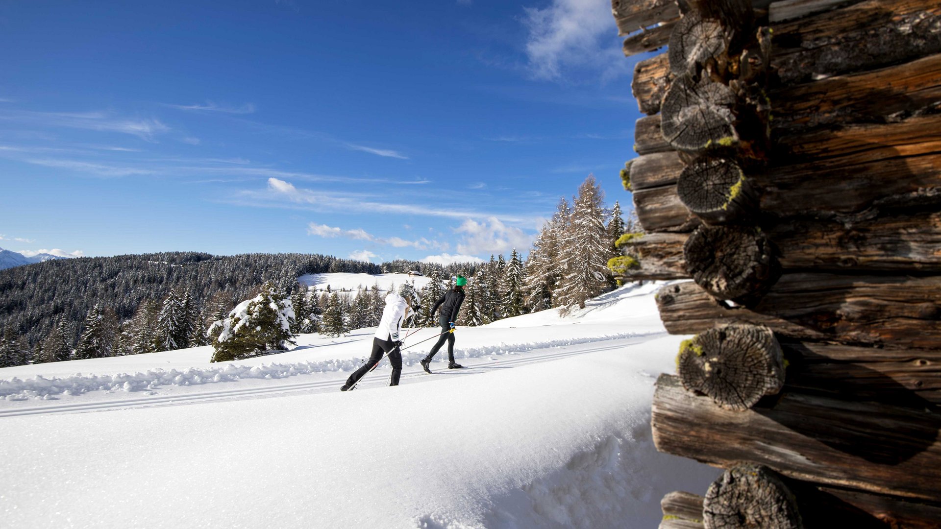 Langlauf auf der Rodenecker-Lüsner Alm Zwei Skilangläufer auf verschneiter Loipe neben einer Holzhütte