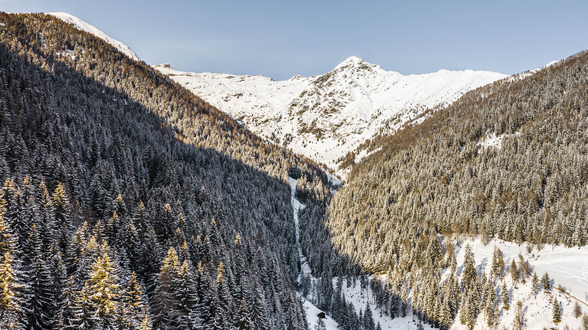 Terenten im Pustertal Verschneite Berge und Tannen im Sonnenlicht