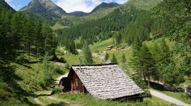 Wandern in Terenten/Pustertal Almhütte im grünen Tal mit Bergen und Wald im Hintergrund