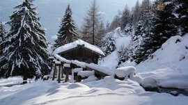 Wandern in Terenten/Pustertal Verschneite Holzhütte und Bäume in winterlicher Berglandschaft