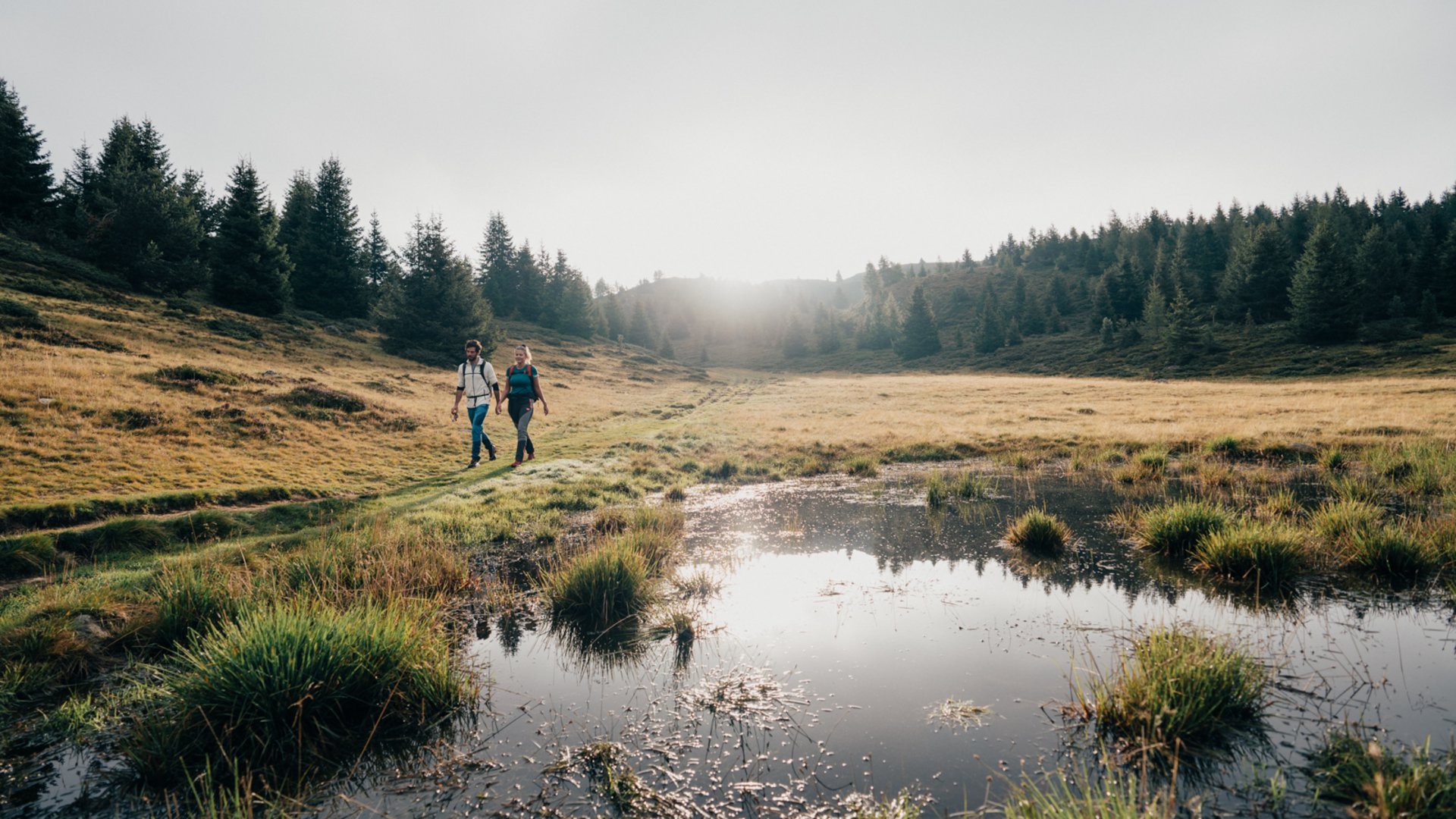 De mooiste wandelroutes in de Dolomieten De foto toont twee wandelaars die over een met gras begroeid pad langs een kleine vijver lopen. Op de achtergrond strekt zich een glooiend landschap uit, omzoomd door naaldbomen, terwijl de zon door een licht bewolkte hemel straalt en de scène in zacht licht hult.