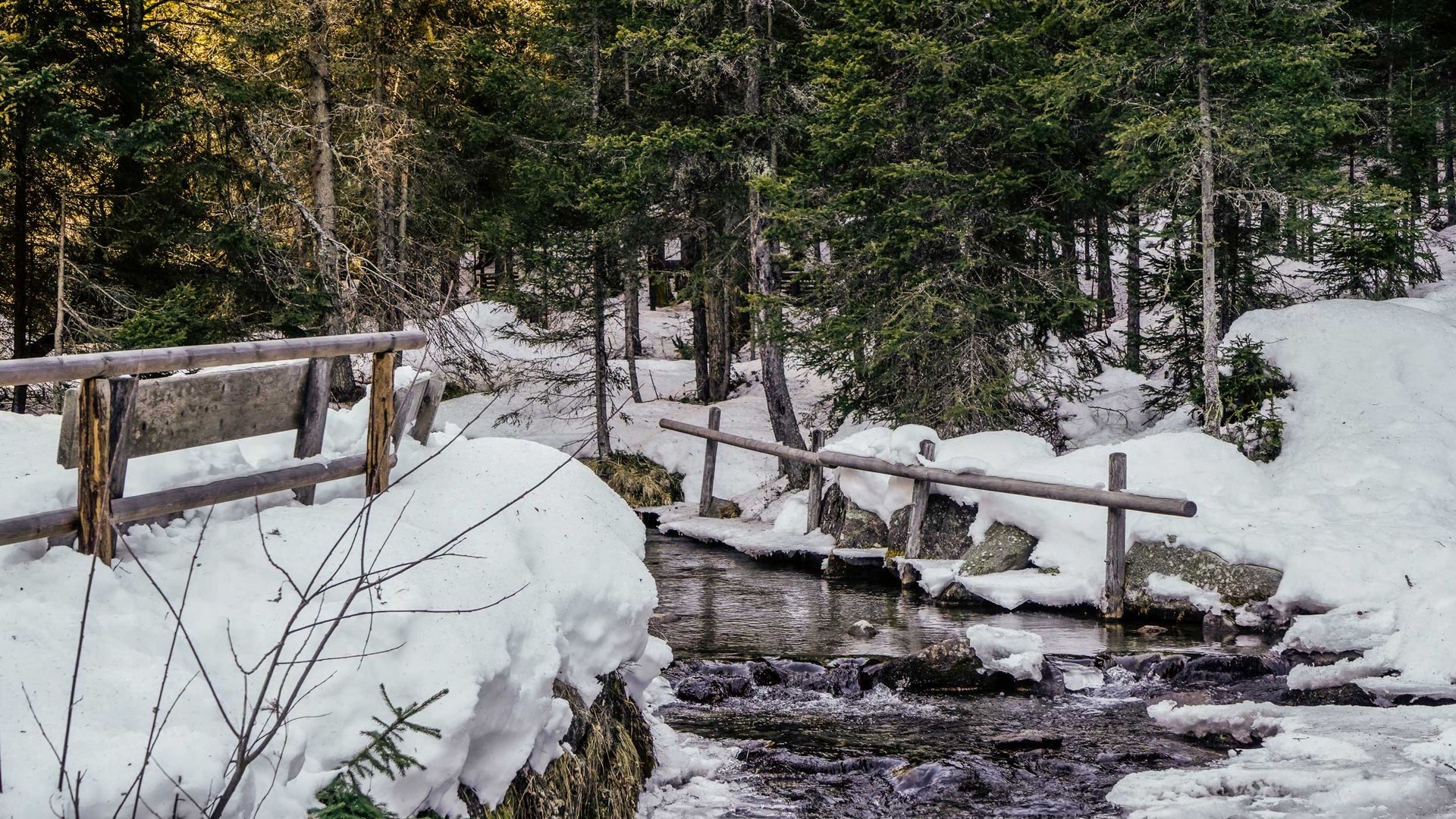 The Altfasstal valley, Meransen The picture shows a snowy forest with a small brook crossed by a wooden bridge. The trees are dense and green, and the ground is covered with snow, while the water in the brook flows quietly. The scenery appears calm and secluded.