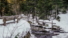 The Altfasstal valley, Meransen The picture shows a snowy forest with a small brook crossed by a wooden bridge. The trees are dense and green, and the ground is covered with snow, while the water in the brook flows quietly. The scenery appears calm and secluded.