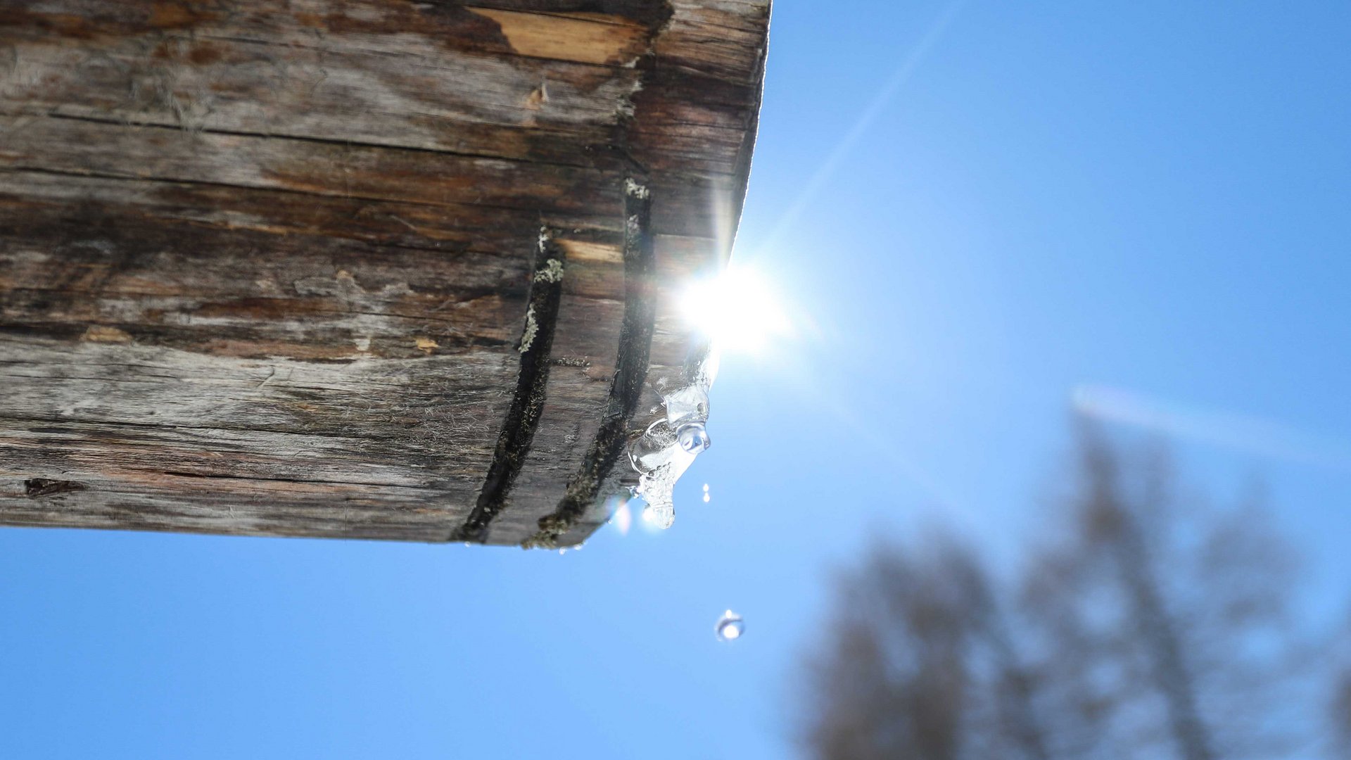 Hiking in Spinges, South Tyrol – no map needed! Ice melting and dripping from wooden beam in bright sunshine