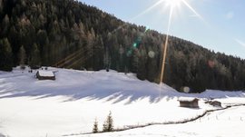 The Altfasstal valley, Meransen The picture shows a sunny winter landscape with two small, snow-covered wooden huts in a valley. In the background, a dense, snow-covered forest rises, and the bright sun stands high in the clear blue sky, casting long shadows on the snow.
