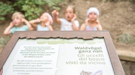 De Elfenweg bij Vintl De foto toont een informatiebord met de tekst "Bosvogels van dichtbij" in het Duits en Italiaans op de voorgrond. Op de achtergrond zijn vier kinderen wazig afgebeeld die hun handen tegen hun oren houden, alsof ze naar de geluiden van het bos luisteren.