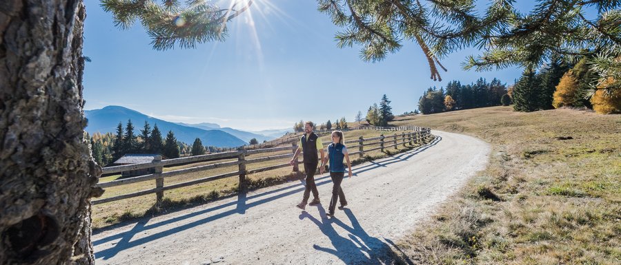 The Gitschberg webcams The picture shows two people walking on a sunny, wide hiking trail. Above them, the sun shines through the branches of a tree, and in the background, wooded hills and mountains can be seen.