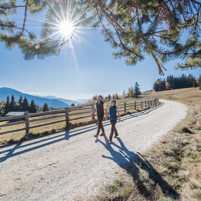 The eco-friendly way to enjoy South Tyrol The picture shows two people walking on a sunny, wide hiking trail. Above them, the sun shines through the branches of a tree, and in the background, wooded hills and mountains can be seen.