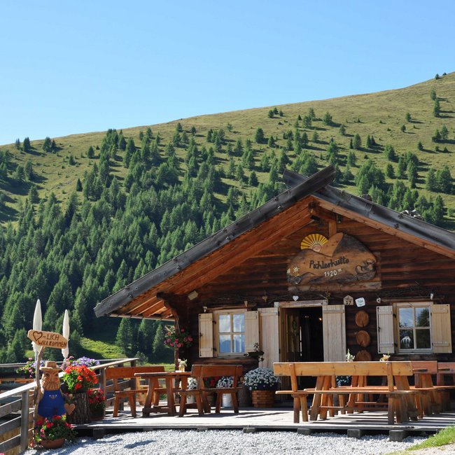 Pichlerhütte De foto toont een gezellig houten berghutje, omgeven door groene weiden en veel sparrenbomen. Voor de hut staan houten banken en bloembakken met kleurrijke bloemen. Een houten bord met de tekst "Hartelijk welkom" verwelkomt de bezoekers.