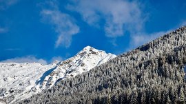 Wandern in Terenten/Pustertal Schneebedeckte Berge mit Nadelwald unter blauem Himmel