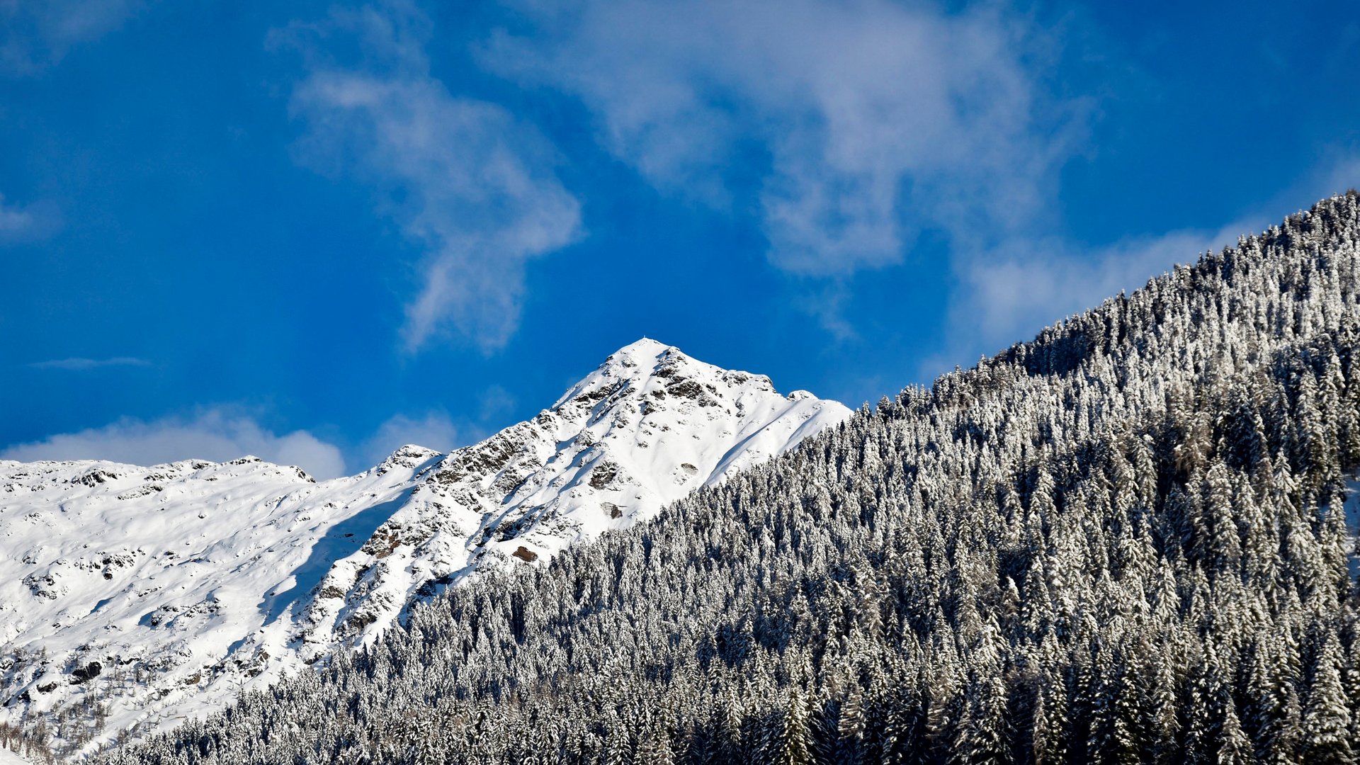 Wandern in Terenten/Pustertal Schneebedeckte Berge mit Nadelwald unter blauem Himmel