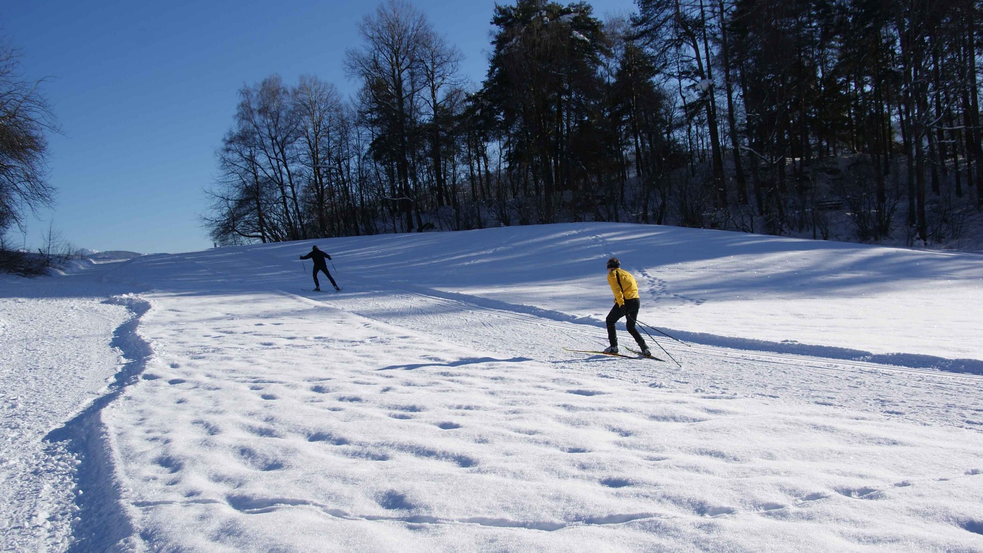 Langlaufen in Terenten De afbeelding toont twee personen die skiën op een met sneeuw bedekt terrein. De ene persoon draagt een gele jas, terwijl de ander zwart gekleed is; op de achtergrond zijn bomen en een heldere blauwe lucht te zien.